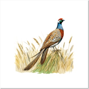 Pheasant Posters and Art